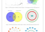 perform network pharmacology with writeup